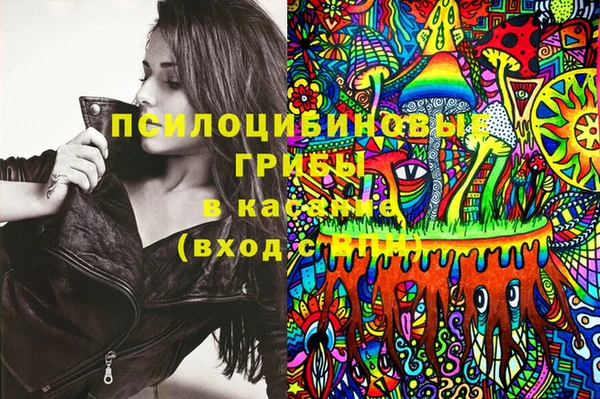 тгк Нея