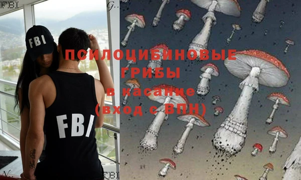 тгк Нея