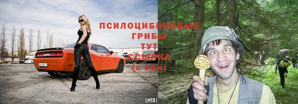 тгк Нея